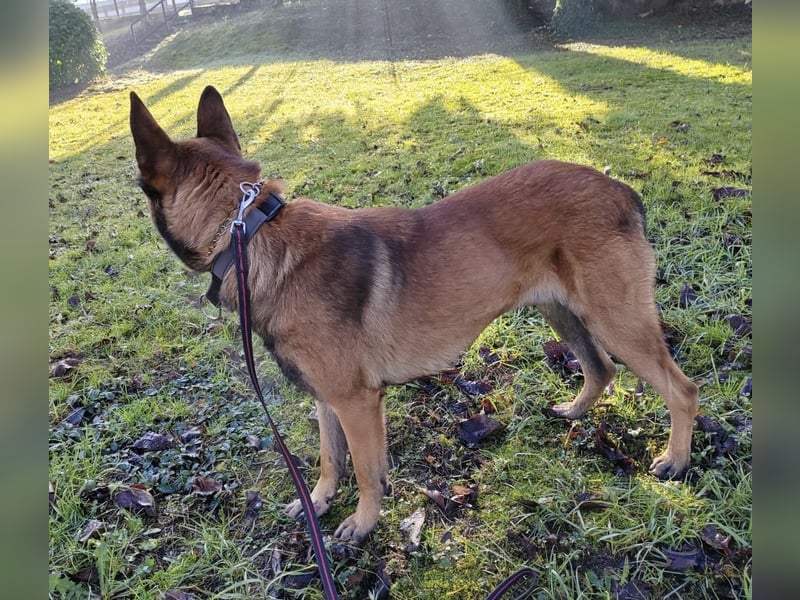 Asher ein Bildhübscher