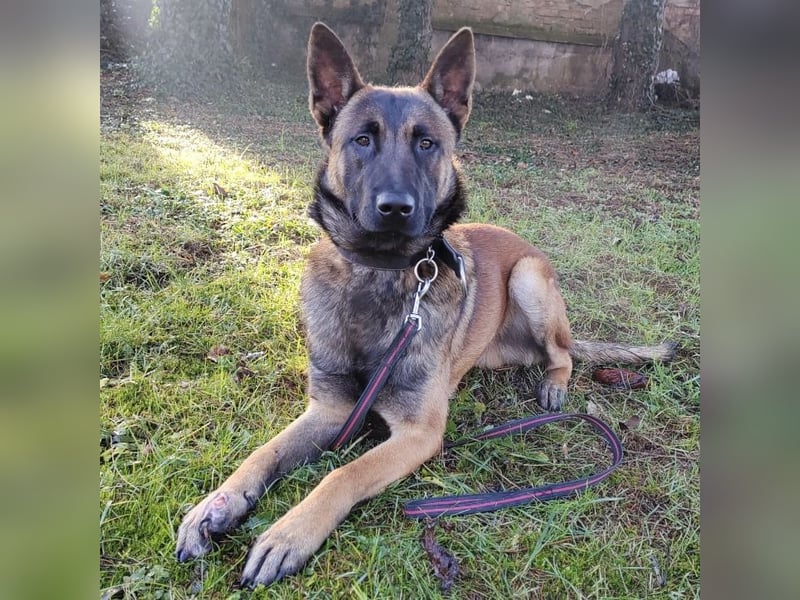 Asher ein Bildhübscher