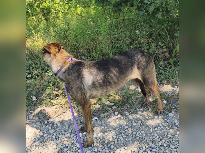 Linda ein Traumwesen