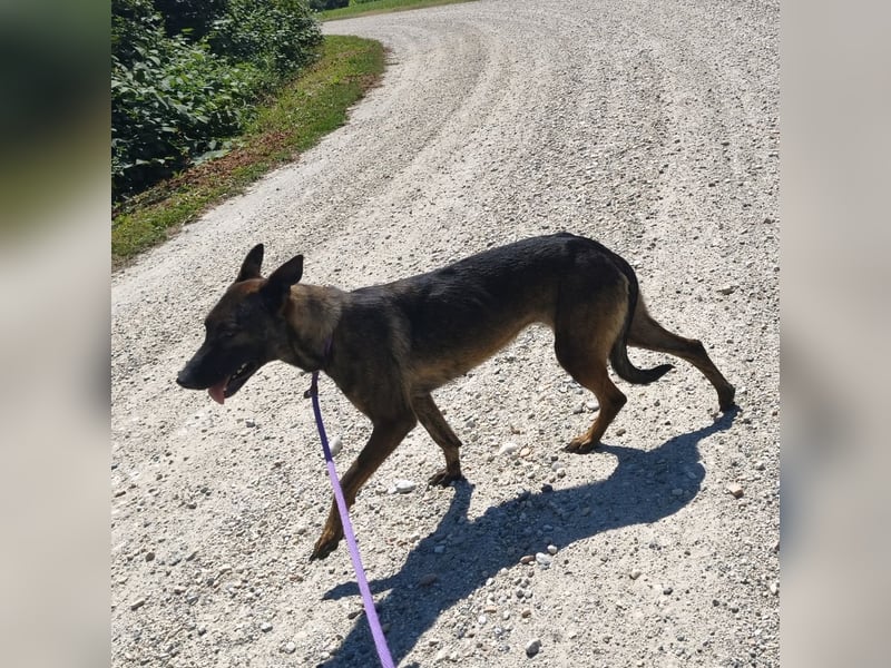Linda ein Traumwesen