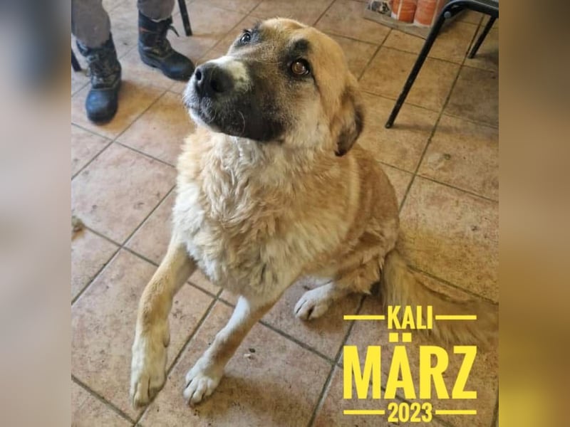 Kali möchte so gerne geliebt werden