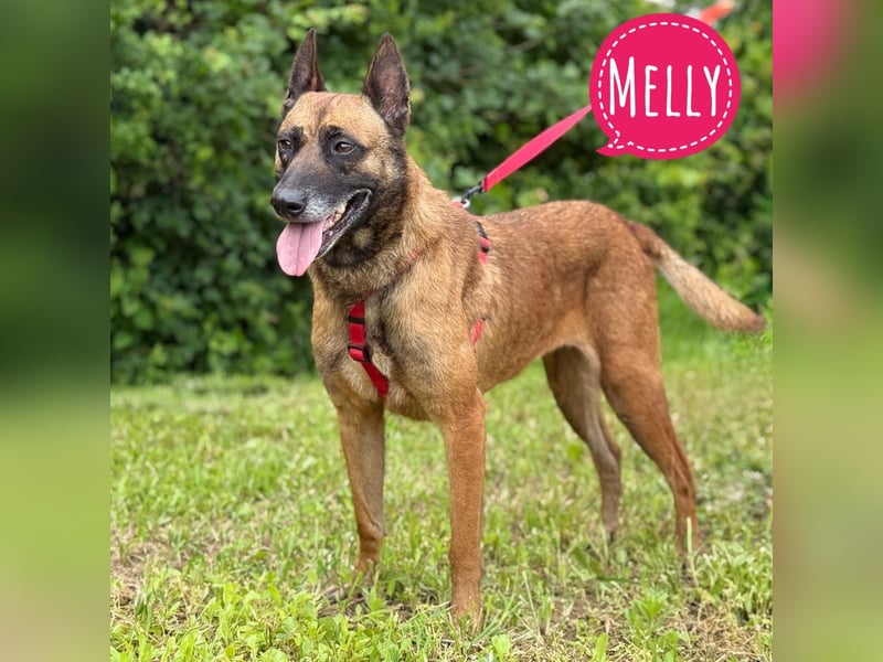 Melly die wundervolle