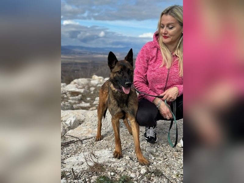 Schäferhund(mix) Freunde aufgepasst – hier kommt unsere Reika