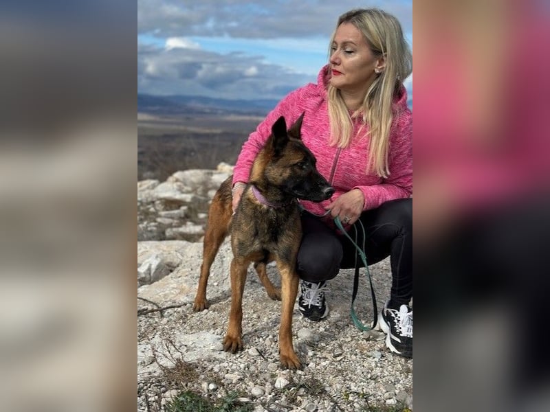Schäferhund(mix) Freunde aufgepasst – hier kommt unsere Reika