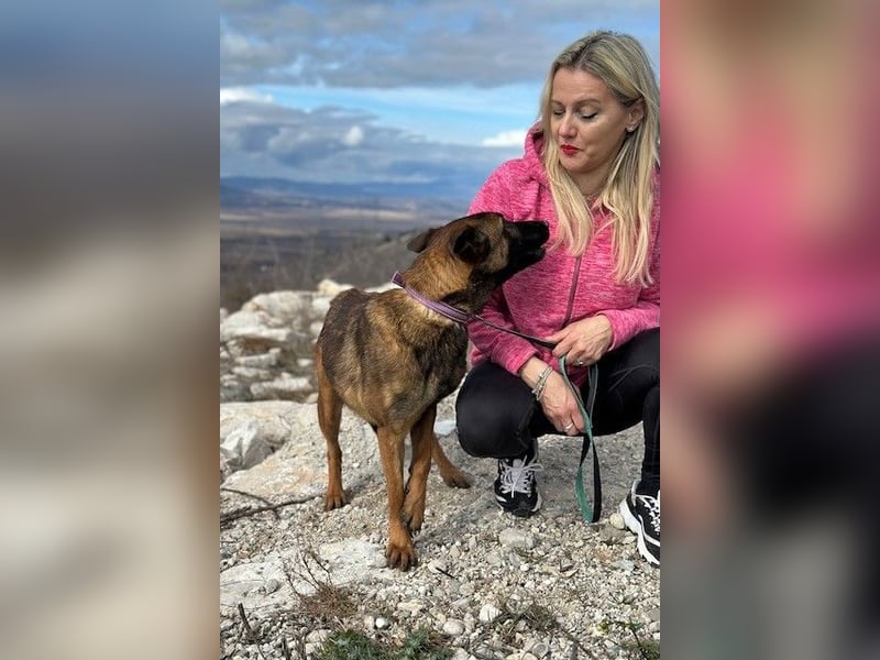 Schäferhund(mix) Freunde aufgepasst – hier kommt unsere Reika