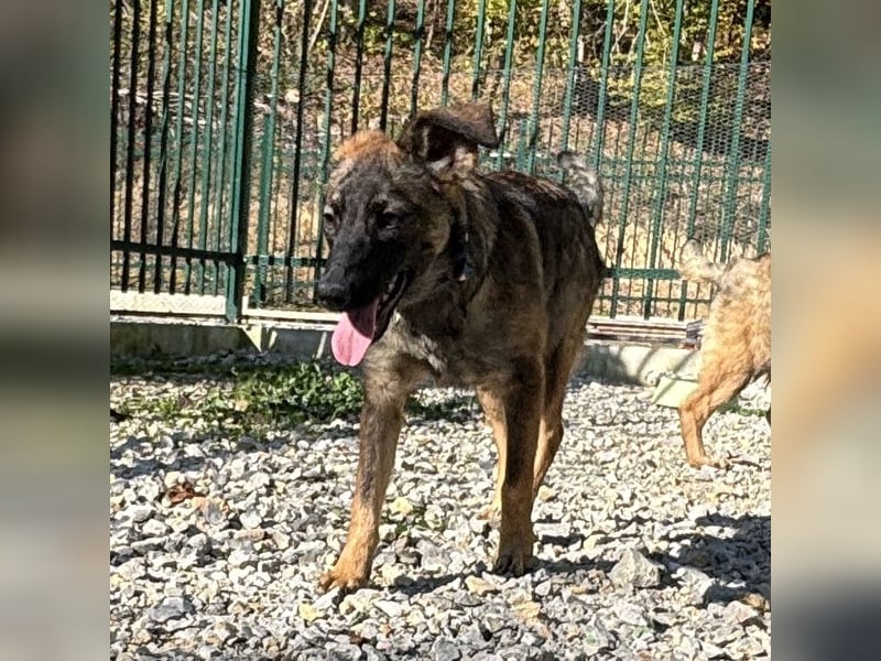 Maaji ein wundervolles Wesen