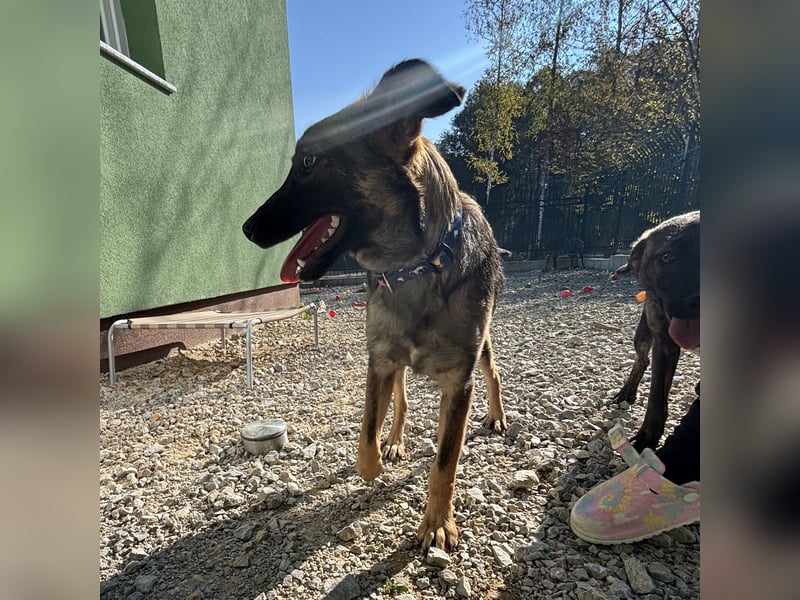 Maaji ein wundervolles Wesen