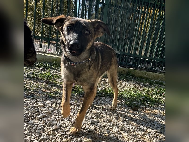 Maaji ein wundervolles Wesen