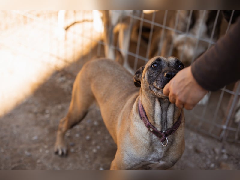 Rea ❤ sucht ihr Für-Immer-Familie