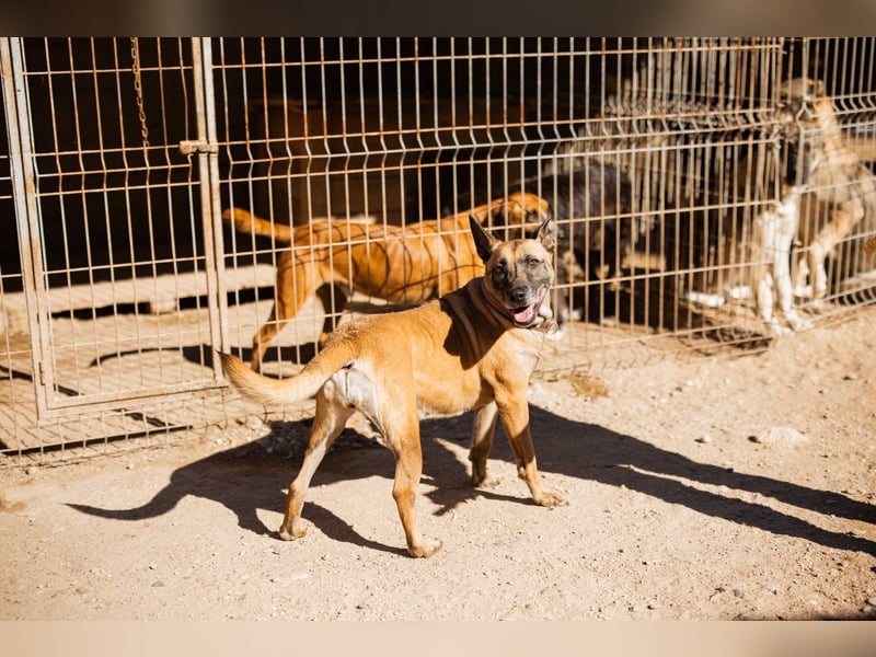 Rea sucht ihre für-immer-Familie ❤