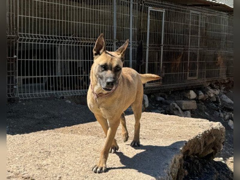 Rea sucht ihre Für-Immer-Familie