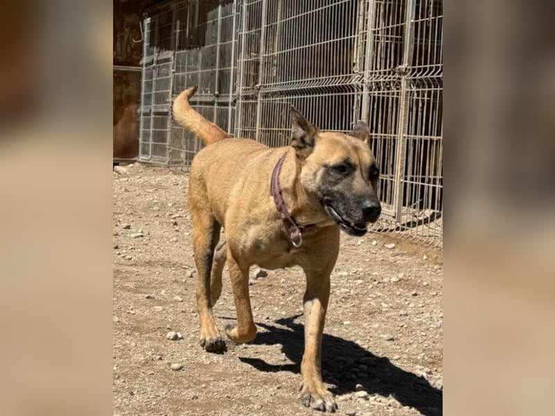 Rea sucht ihre Für-Immer-Familie