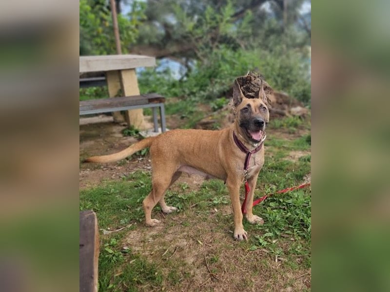 Rea sucht ihre Für-Immer-Familie