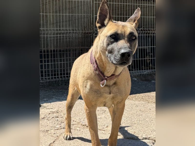 Rea ❤ sucht ihr Für-Immer-Familie