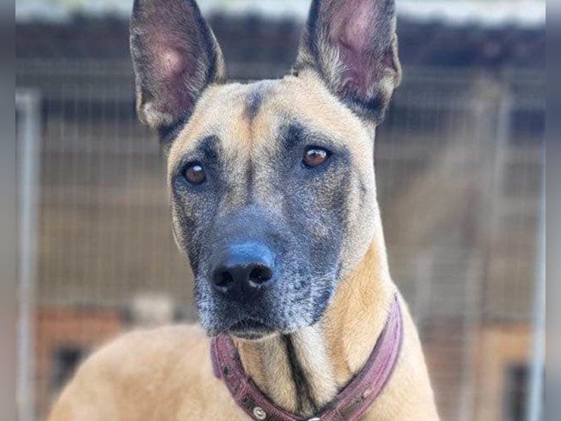 Rea sucht ihre Für-Immer-Familie