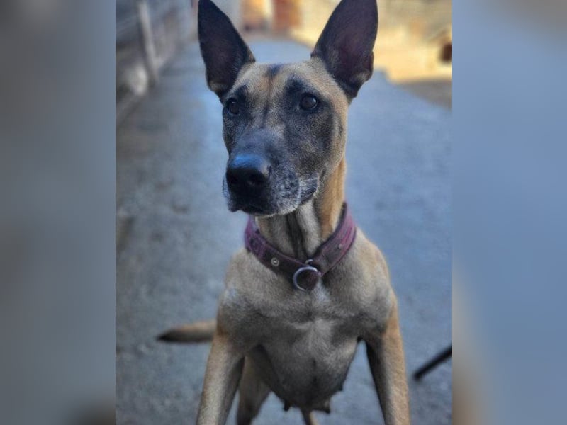 Rea sucht ihre Für-Immer-Familie