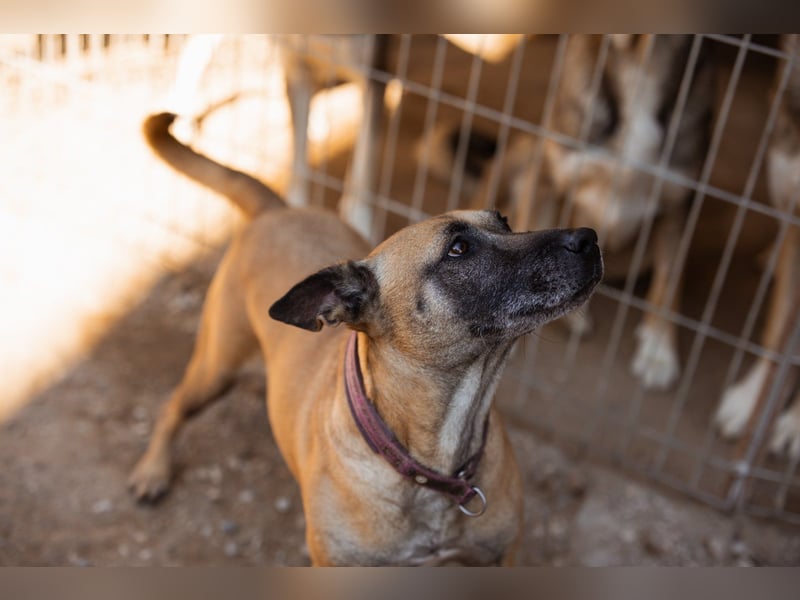 Rea sucht ihre Für-Immer-Familie