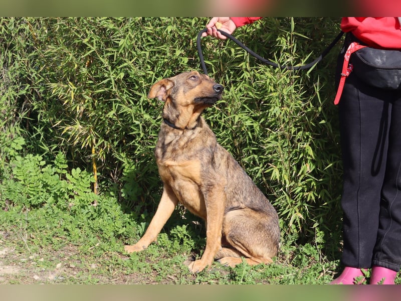 Hank ❇️ hat jetzt lange genug gewartet !!