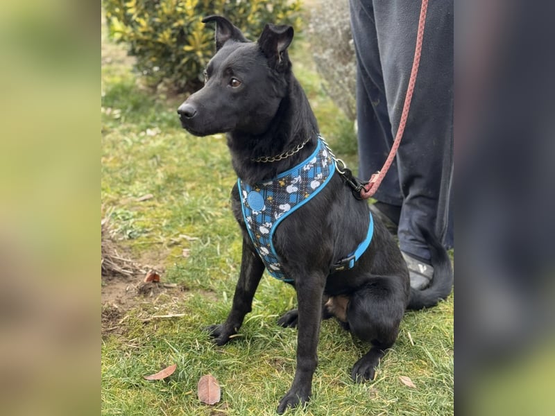 Kiitos ein sportlicher