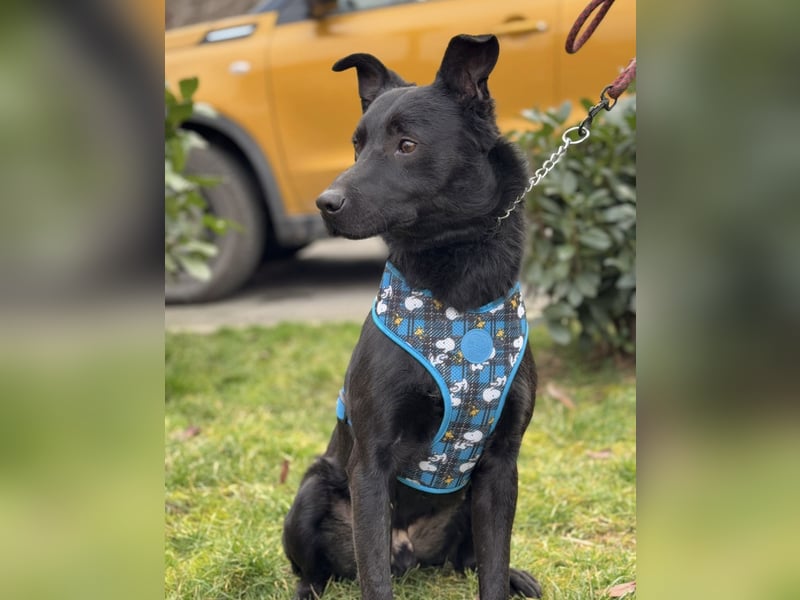 Kiitos ein sportlicher