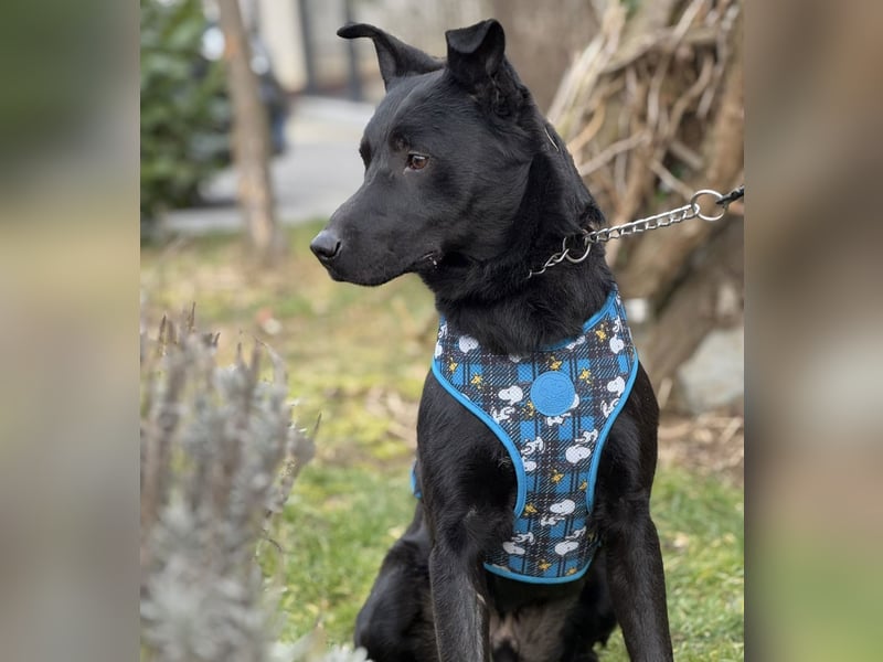 Kiitos ein sportlicher