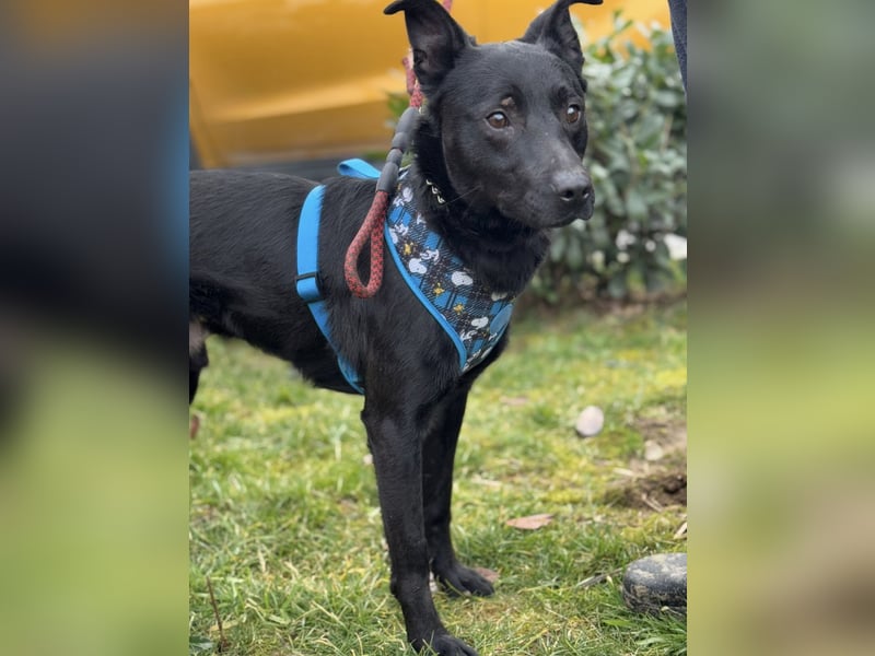 Kiitos ein sportlicher