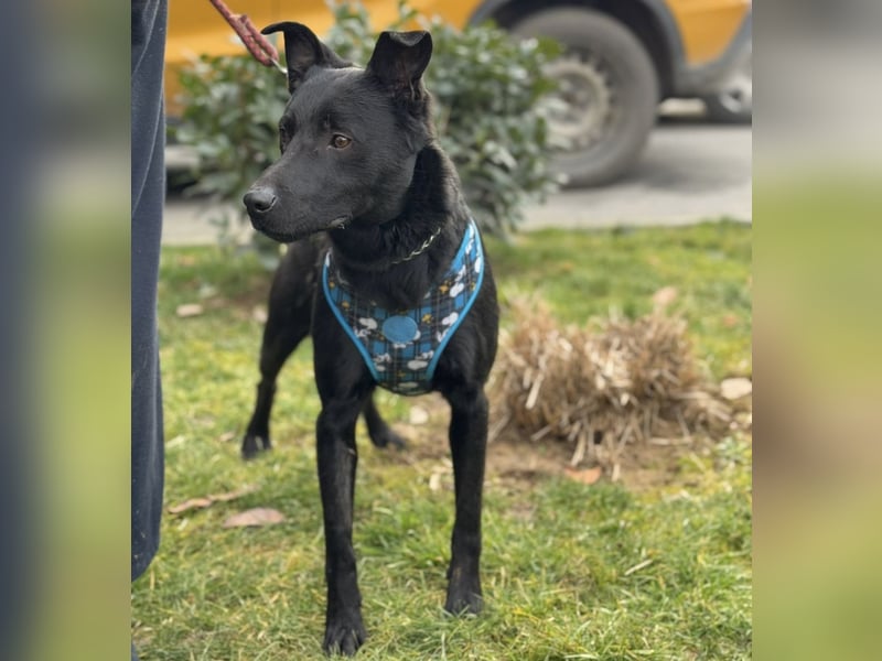 Kiitos ein sportlicher