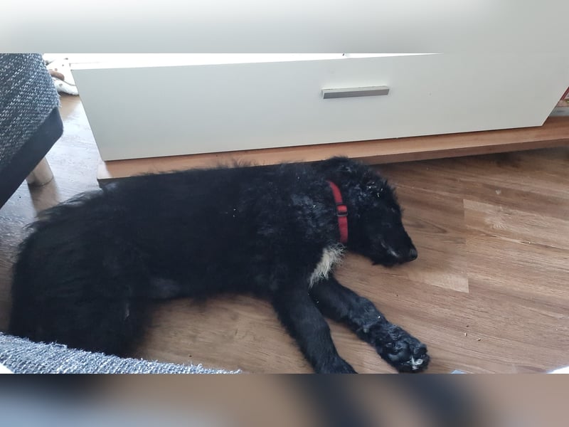 Unsere süße Luna