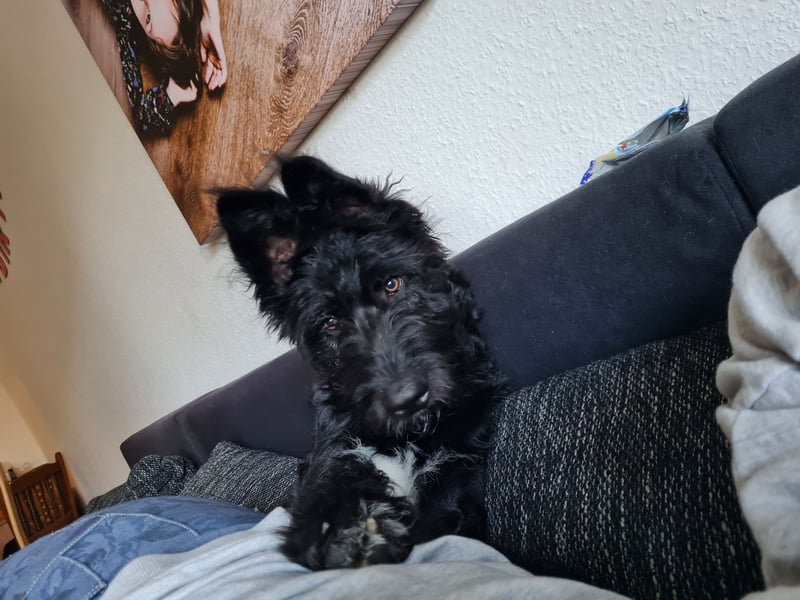 Unsere süße Luna