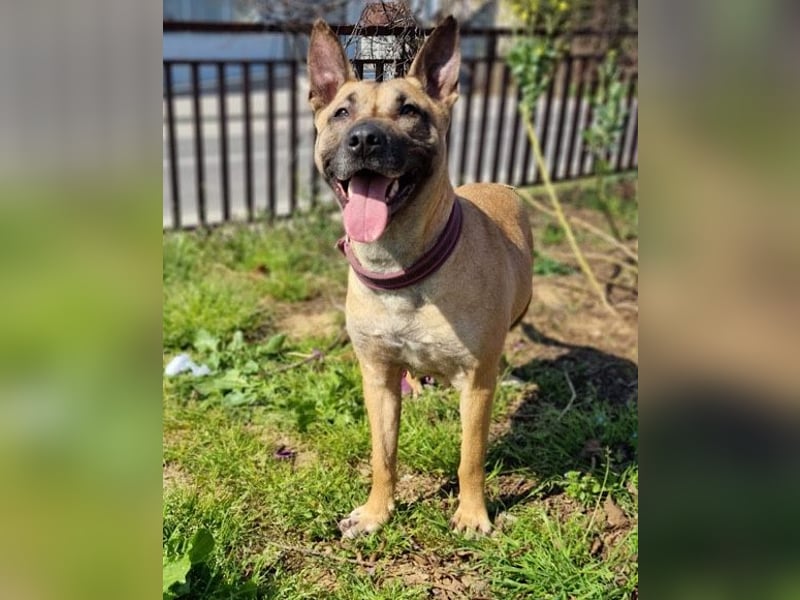 Rea sucht ihre Für-Immer-Familie