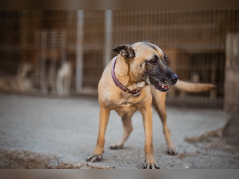 Rea sucht ihre Für-Immer-Familie