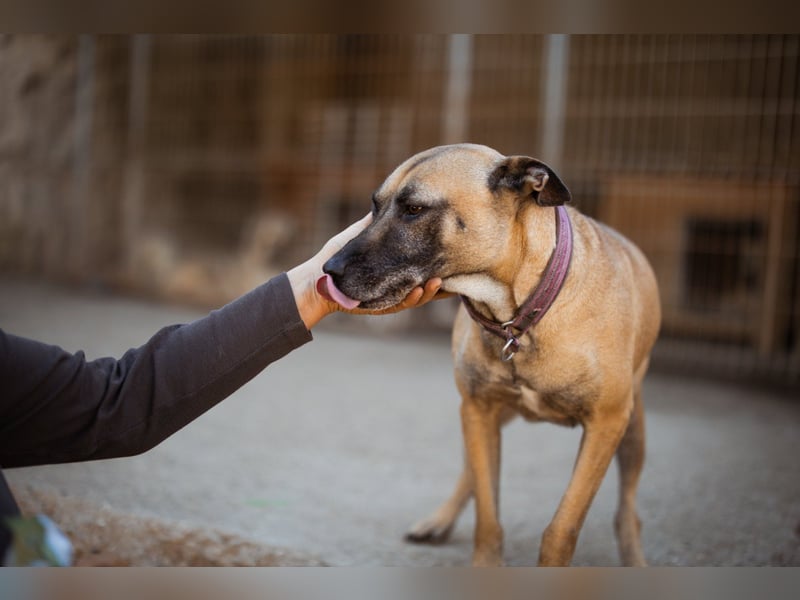 Rea sucht ihr Für-Immer-Zuhause ❤