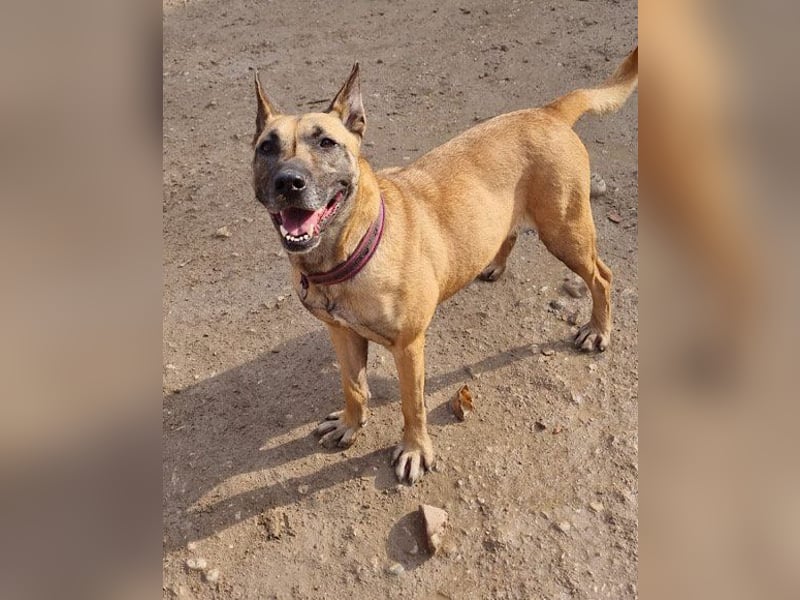 Rea sucht ihr Für-Immer-Zuhause ❤