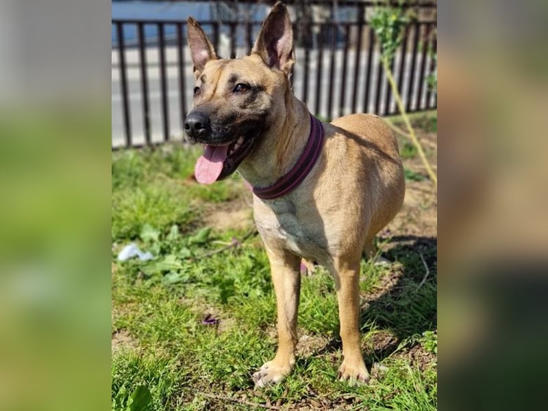 Rea sucht ihr Für-Immer-Zuhause