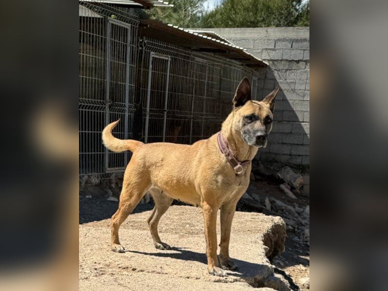 Rea sucht ihr Für-Immer-Zuhause ❤