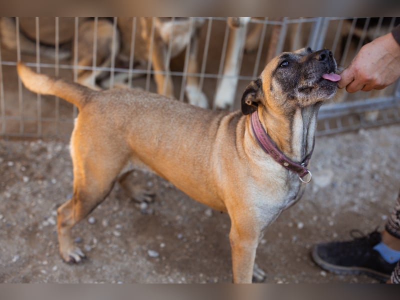 Rea sucht ihr Für-Immer-Zuhause