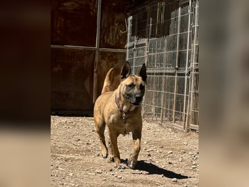 Rea sucht ihr Für-Immer-Zuhause