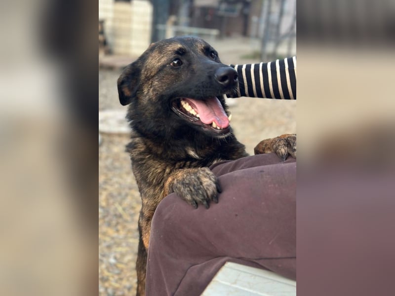 Ciska ❤️ liebe, so kuschlige Begleiterin