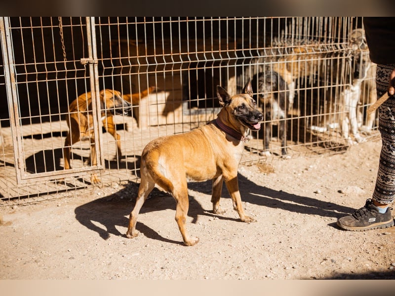 Rea sucht ihr Für-Immer-Zuhause ❤