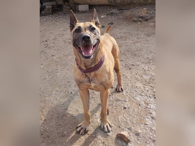 Rea sucht ihr Für-Immer-Zuhause ❤