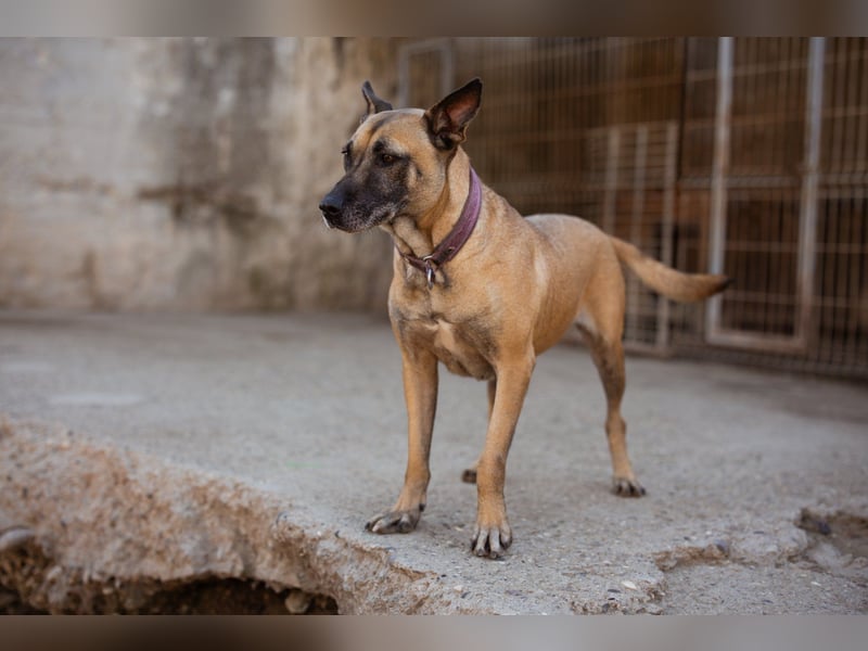 Rea sucht ihr Für-Immer-Zuhause