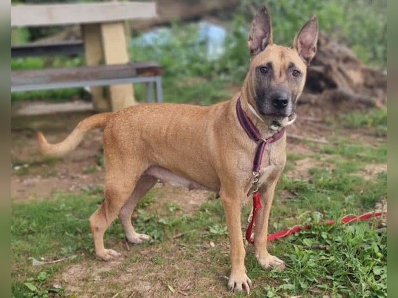 Rea sucht ihr Für-Immer-Zuhause