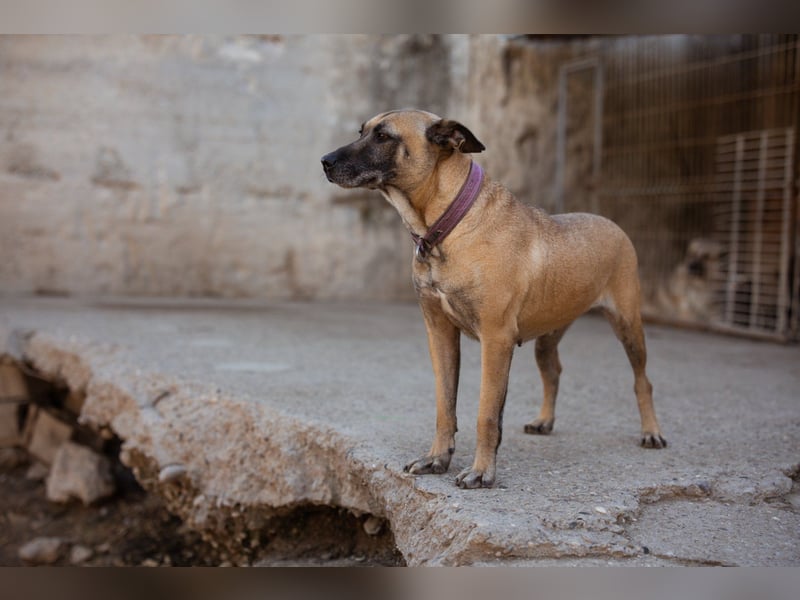 Rea sucht ihr Für-Immer-Zuhause ❤