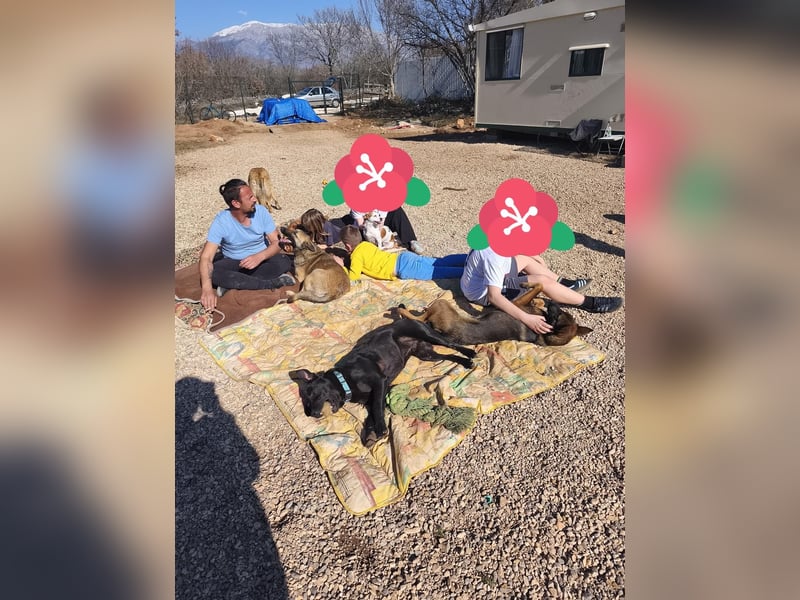 Charles sucht sein forever Home❤️