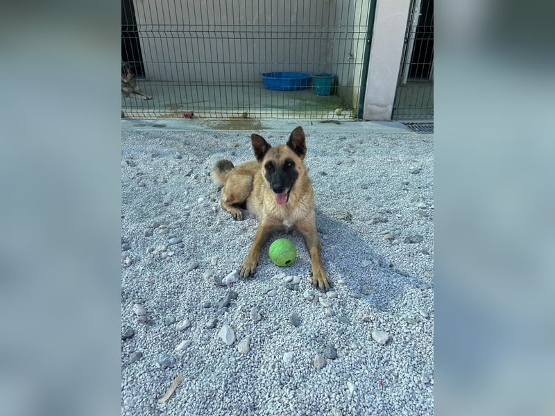 Madeline sucht ihr Glück ❤️