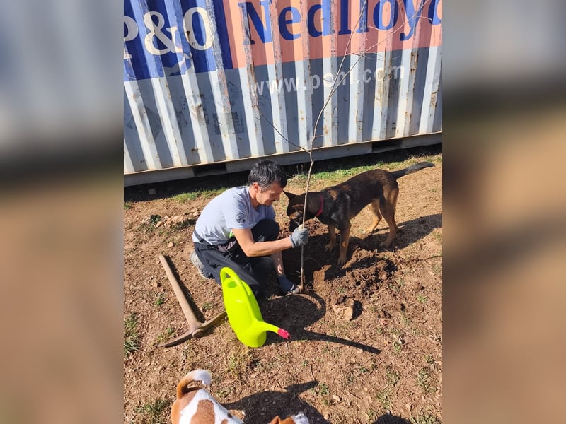 Charles sucht sein forever Home❤️