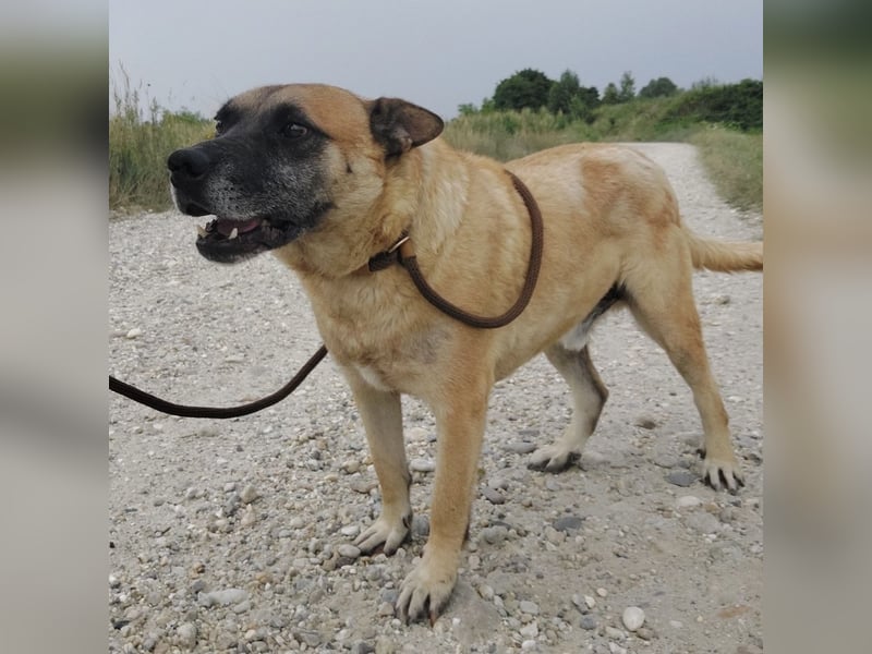 Zeki - hat Hölle hinter sich gelassen