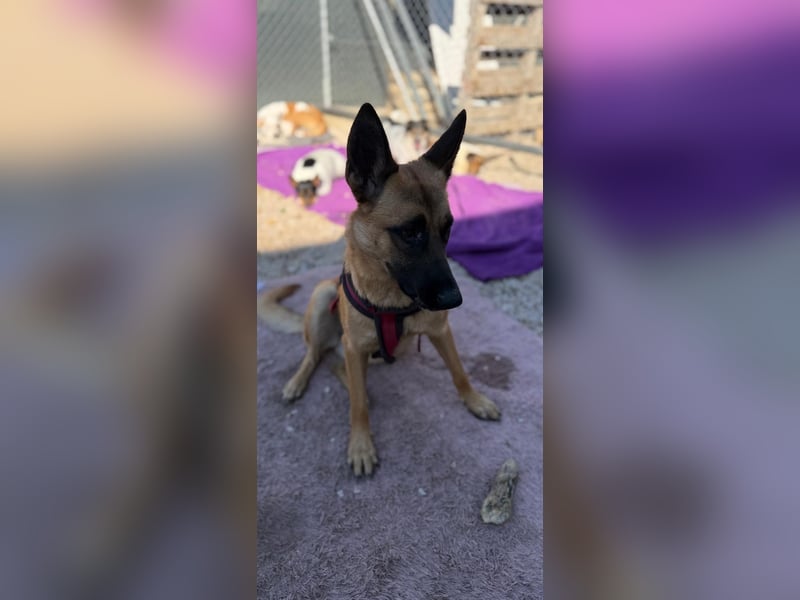 Lola, sucht einen ruhigen Platz