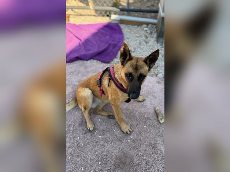 Lola, sucht einen ruhigen Platz