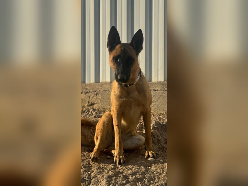 Lola, sucht einen ruhigen Platz